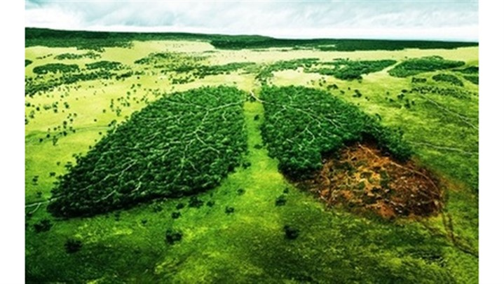 اعضای-کمیسیون-ماده-7-چه-کسانی-هستند؟