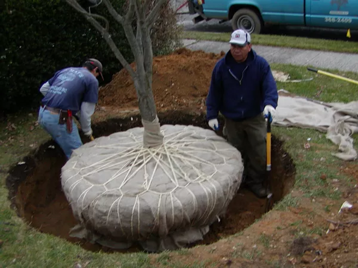 حالت‌های-اعتراض-در-دیوان-عدالت-اداری