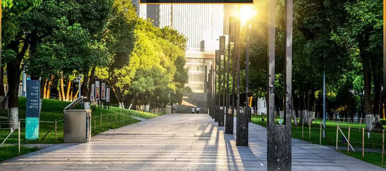 قطع-درخت-چه-مقدار-جریمه-به-همراه-خواهد-داشت؟