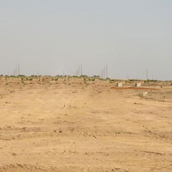 همه-چیز-درباره-زمین-موات-سند-دار