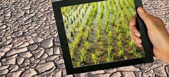 همه-چیز-درباره-زمین-موات-سند-دار