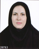 زهرا-نیکوئی-وکیل-پایه-یک-دادگستری