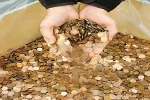 از-یک-کیلو-بال-مگس-تا-پنج-هزار-گل-ارکیده