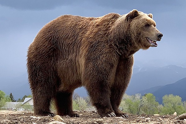 افزایش-جریمه-نقدی-شکار-و-صید-غیرمجاز