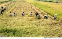 لایحه-دفاعی-اراضی-اصلاحات-ارضی