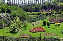 طرح-کاداس-چیست؟