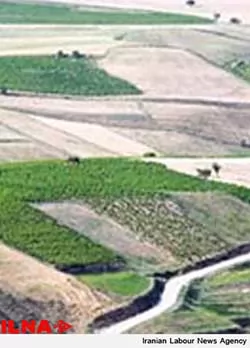 حق-زارعانه-و-ریشه-و-نحوه-احتساب-ان